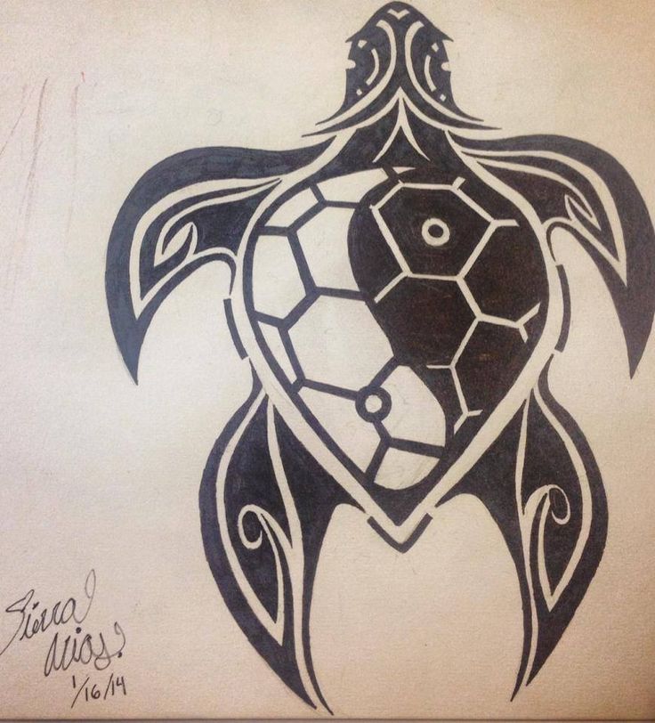 a drawing of a turtle with an intricate design on it's back