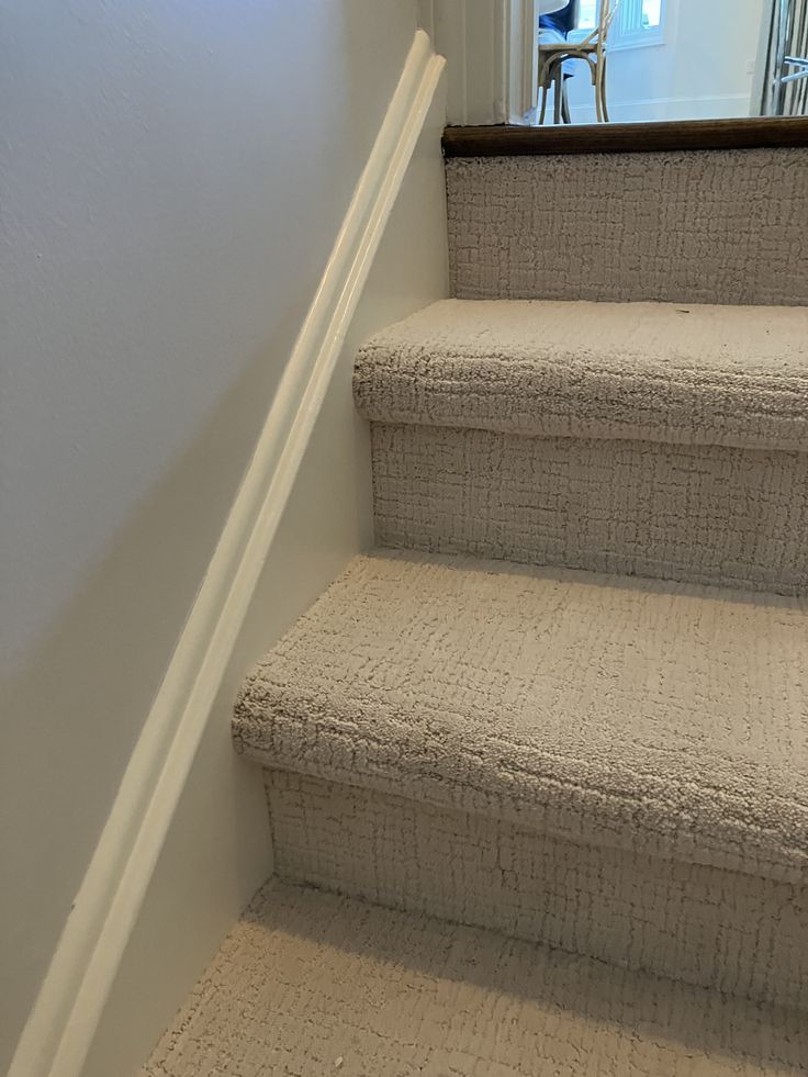 there is a cat that is sitting on the stairs next to the carpeted steps