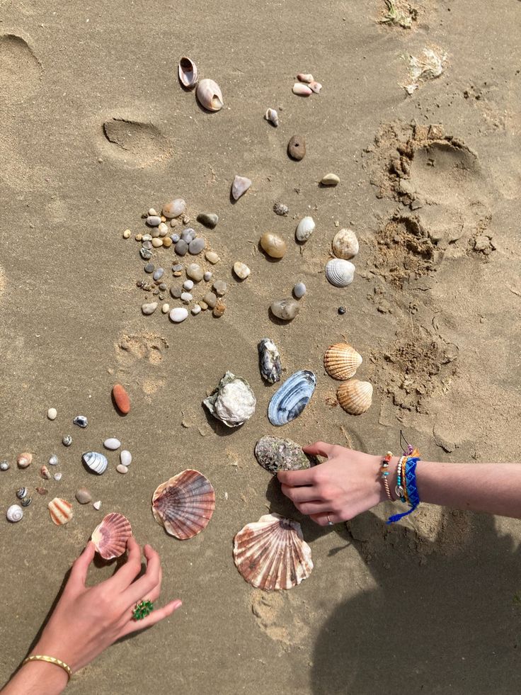 two hands reaching for seashells on the beach