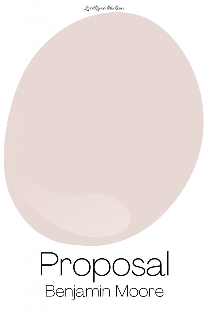 a white background with the words proposal and an image of a pink circle