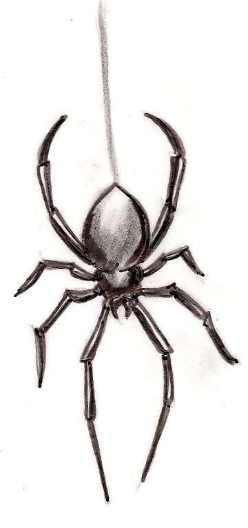 a drawing of a spider on white paper