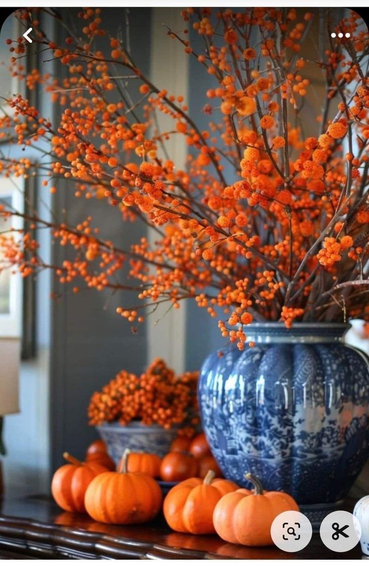 a vase filled with lots of oranges on top of a wooden table next to pumpkins