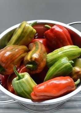 a white bowl filled with red and green peppers