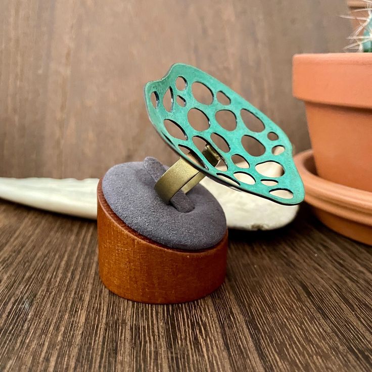 a ring sits on top of a wooden box next to a potted plant and a succulent