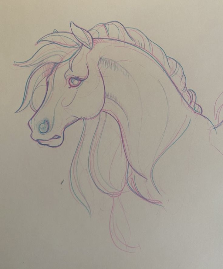 a drawing of a horse's head with long manes