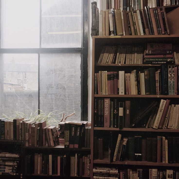 a bookshelf filled with lots of books next to a window