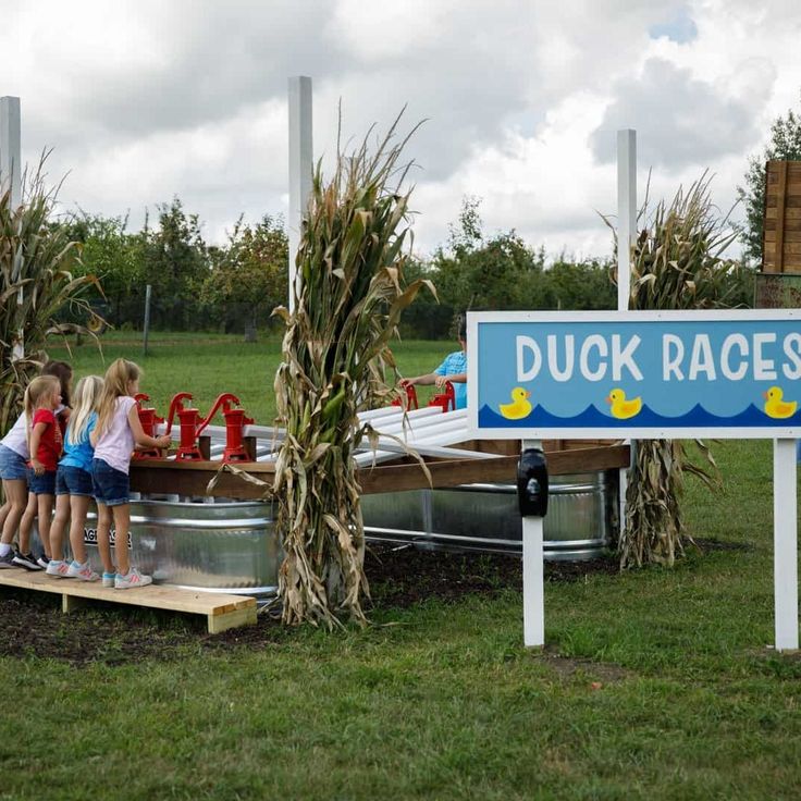 three girls standing on a dock next to a sign that says duck races in front of some corn stalks