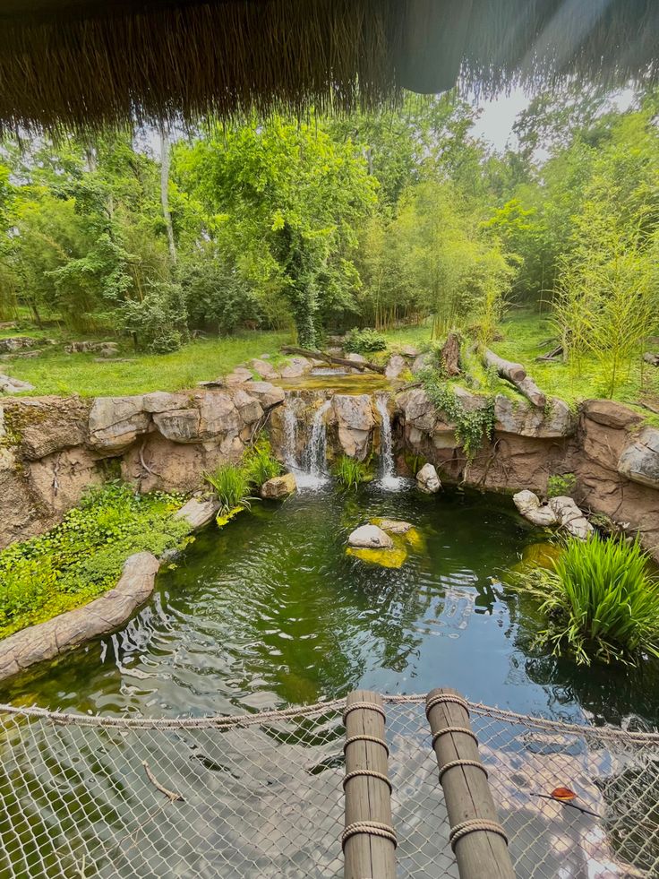 a small pond surrounded by rocks and grass