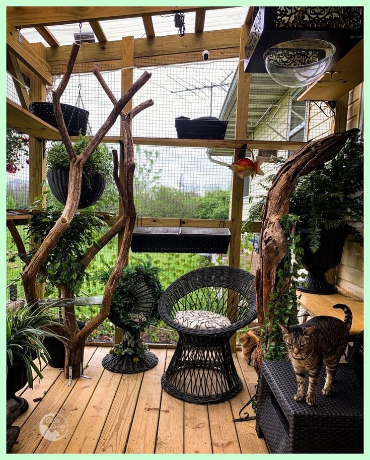 a cat standing on top of a wooden floor next to a chair and potted plants