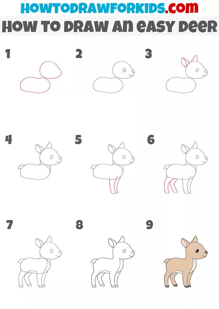 how to draw an easy deer step by step drawing for kids and beginners with pictures