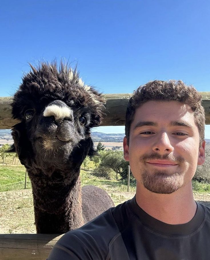 a man standing in front of an alpaca behind a fence with another animal