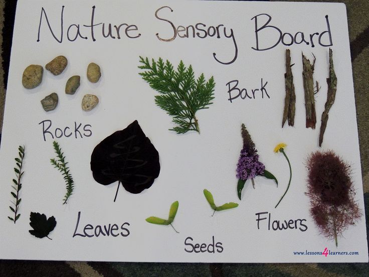 a sign with different types of plants and rocks on it that says nature sensory board