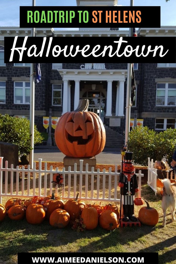 a large pumpkin sitting on top of a lush green field next to a white picket fence