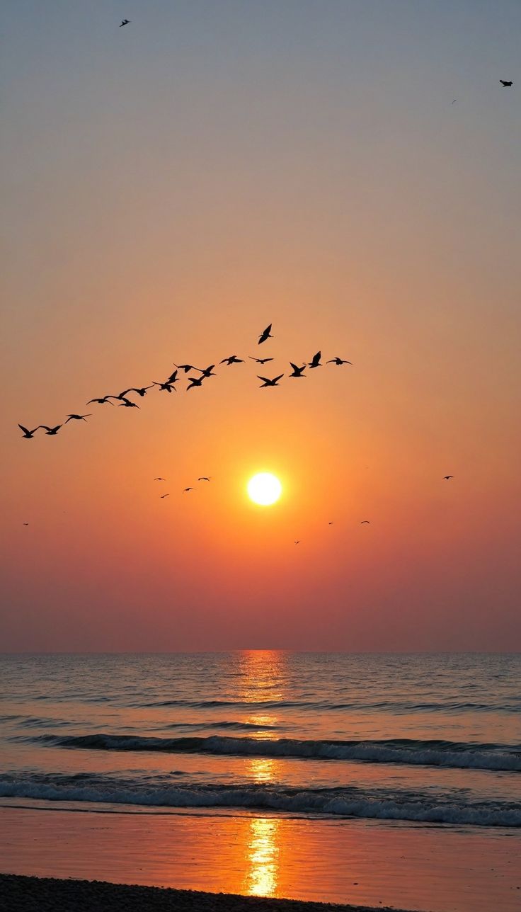 a flock of birds flying over the ocean at sunset