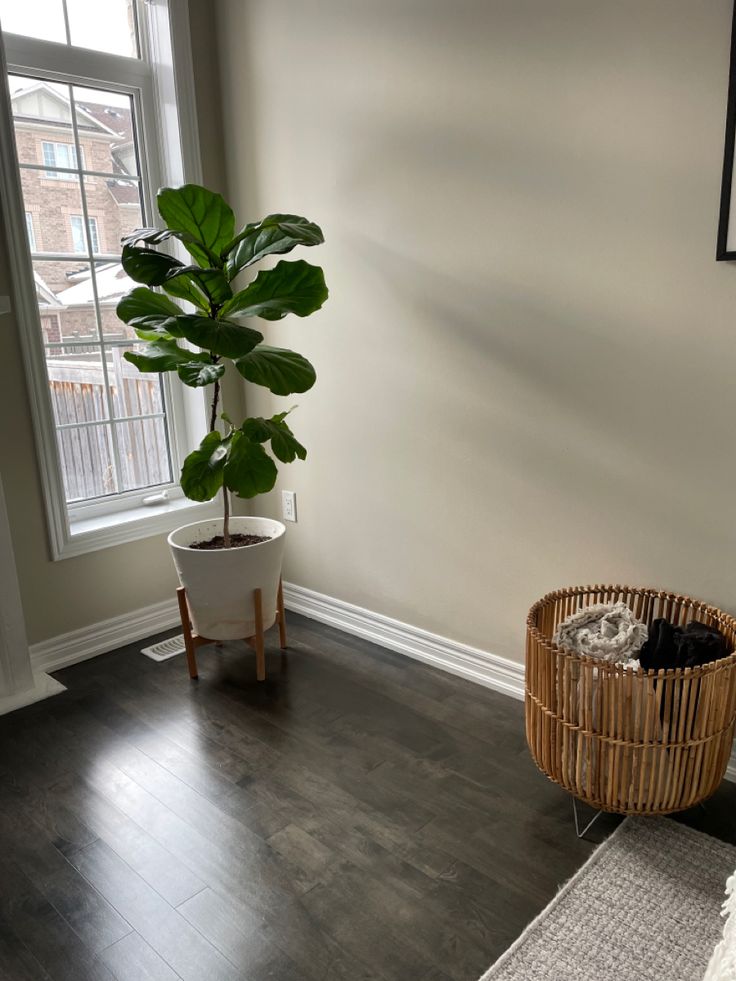 a plant in a basket on the floor next to a window with a white curtain