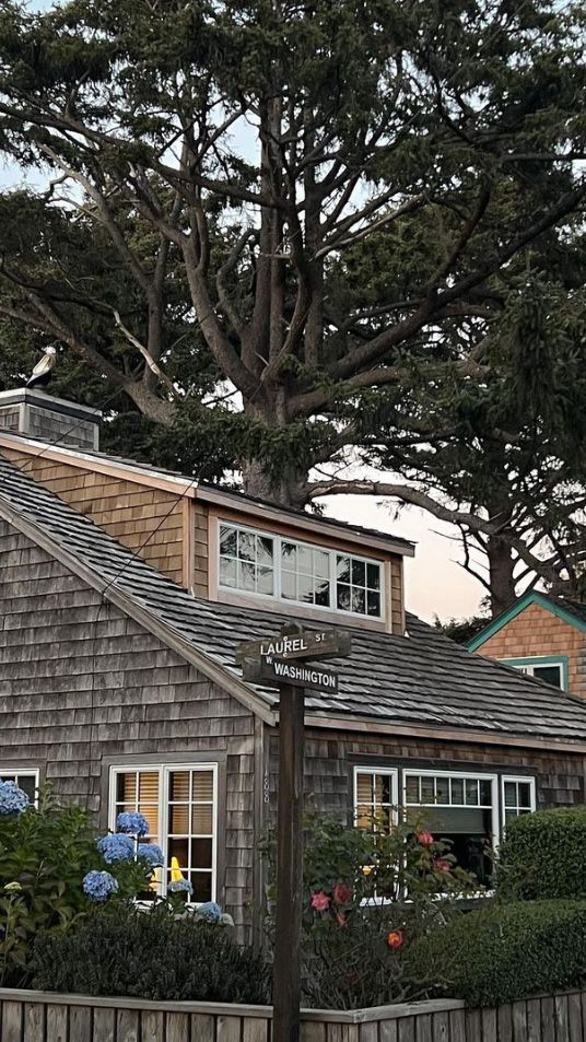 there is a bird sitting on top of the roof of this house in front of some trees