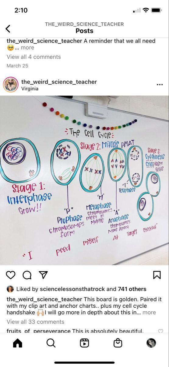 Cer Science Examples, Science Puns Biology, Biology Lesson Plans High School, Biology Classroom Ideas High School, High School Biology Classroom Decor, High School Science Classroom Decorating, Biology Teacher Classroom, High School Biology Projects, Biology Classroom Decorations