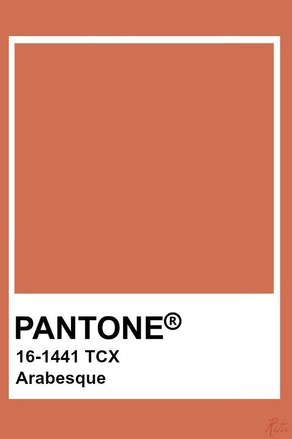 the pantone color is shown in an orange and white square with black lettering on it