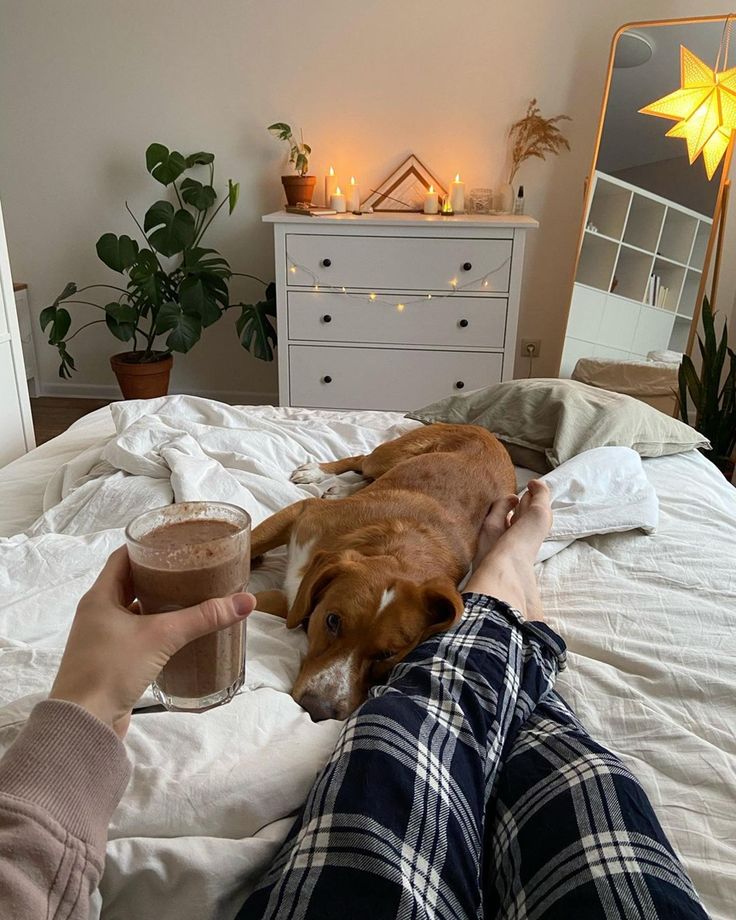 a dog laying on top of a bed next to a person holding a glass of coffee