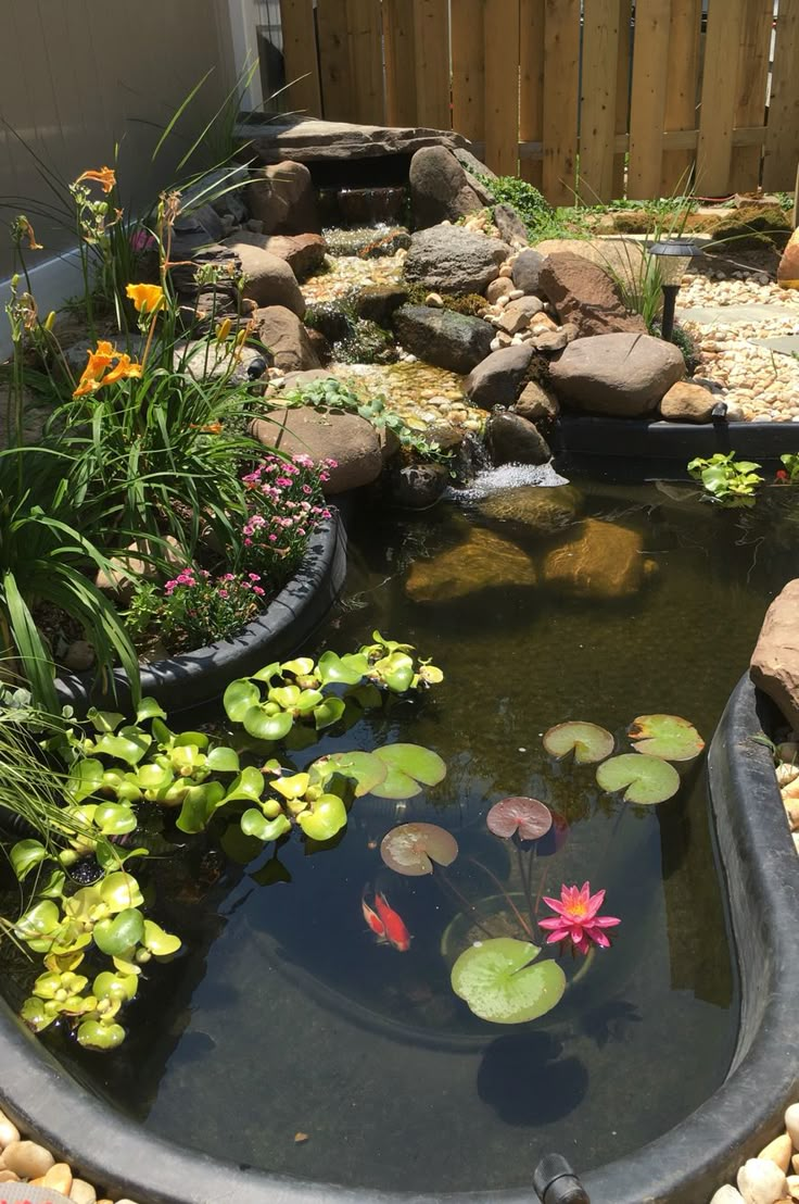 a pond with water lilies and rocks in it