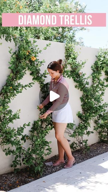 a woman standing in front of a wall with plants growing on it and the words diamond trellis above her