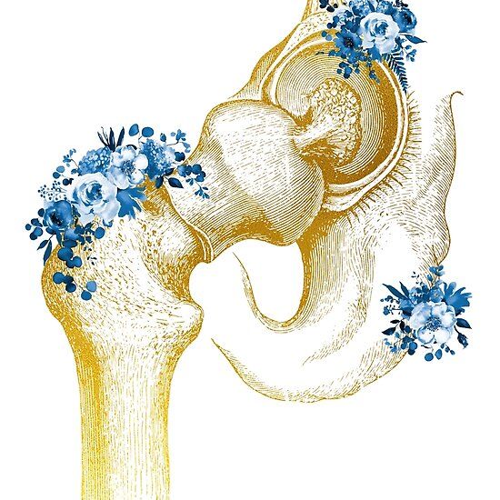 an illustration of the inside of a human skull with blue flowers on it's head