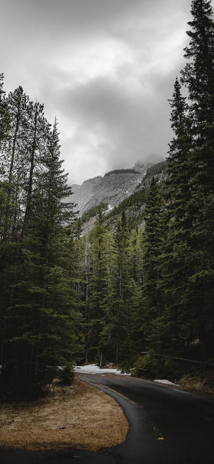 an empty road in the middle of a forest with snow on the mountains behind it