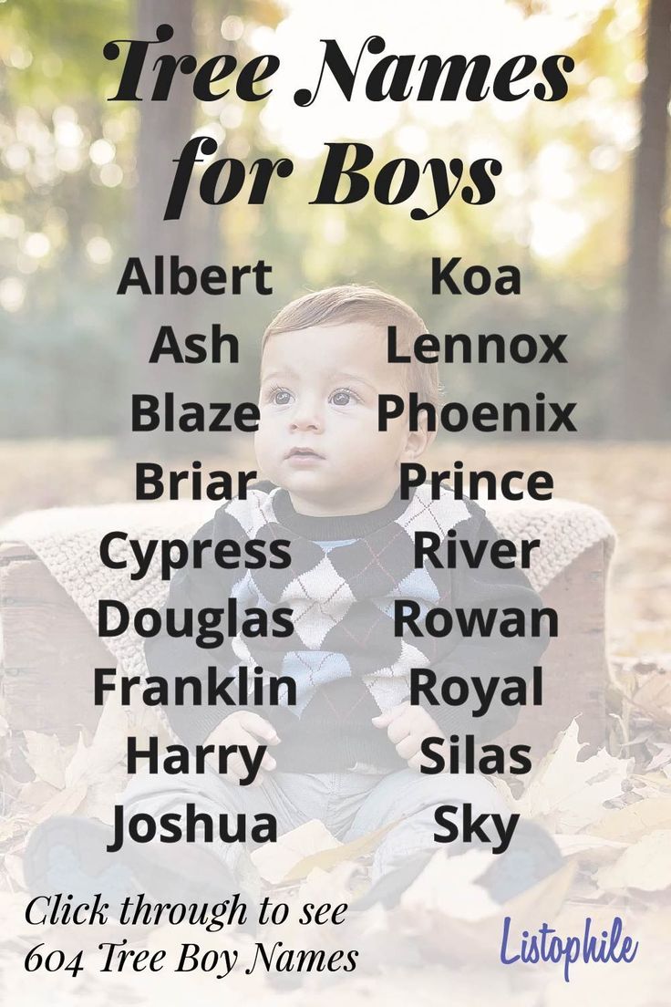 a boy sitting on top of a chair in the woods with names for his name