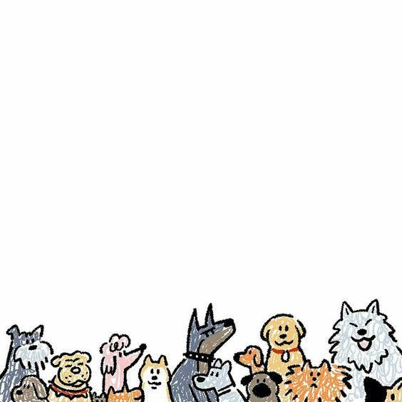 a group of dogs and cats standing next to each other