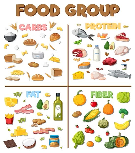 Six Food Groups Chart, Protein Carbohydrate Fats Chart, Go Foods Chart, Healthy Food Chart For Kids Project, Carbohydrates Food Pictures, Protein Drawing, Healthy Food Cartoon, Protein Foods For Kids, Food Groups Preschool