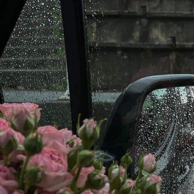 pink roses sit in front of a car with raindrops on the window and side mirror