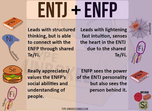 Personality Type Compatibility, Entj And Enfp, Mbti Entj, Entj Relationships, Entj Enfp, Entj Personality, Enfp Relationships, Enfp Personality, Enfp T