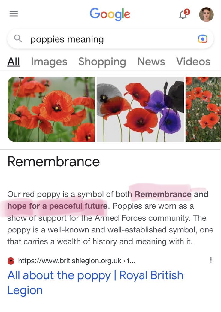 an iphone screen with the words remembrance and images shopping news videos on it, along with pictures of poppies