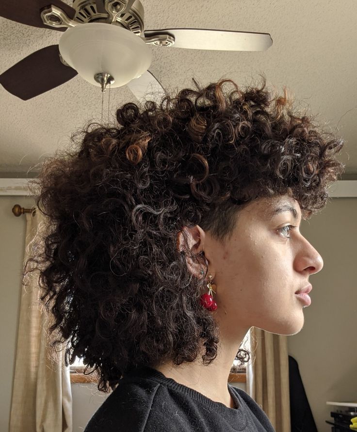 Naturally curly 3b/3c hair in mullet hairstyle (@/alexia.svg on Instagram) 3b Mullet Hair, Mullet On Natural Hair, Mullet Black Women Curly, 4b Mullet, Mullet Natural Hair, 3b Curly Hair Mullet, 3b Curly Mullet, Curly Hair Mullet Black Women, Mullet 4c Hair