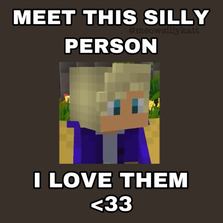 a minecraft meme with the caption that says, meet this silly person i love them