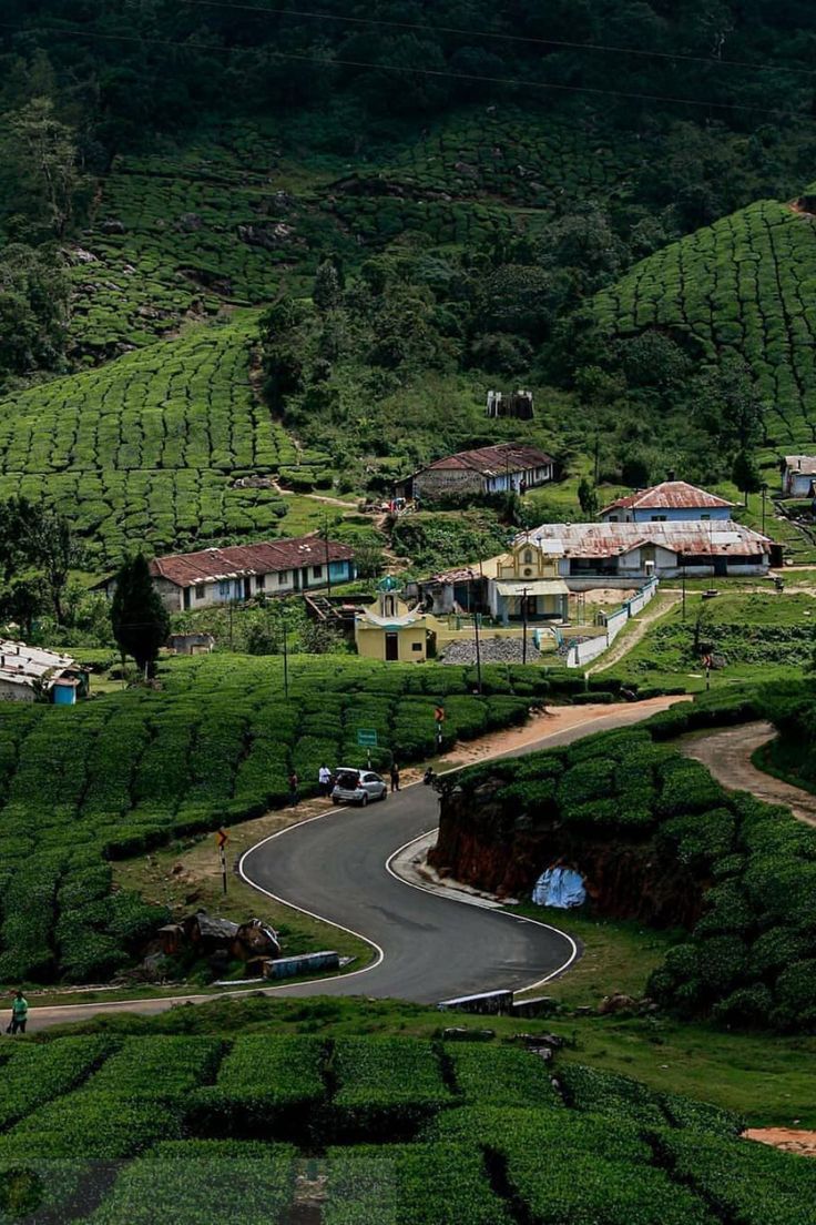 a winding road in the middle of a lush green hillside with houses on each side