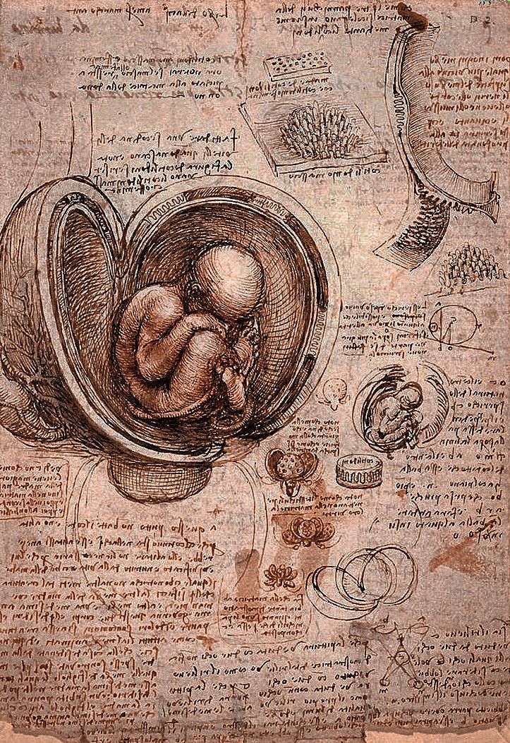 an old book with drawings on it and other things in the pages around it, including a drawing of a baby's stomach