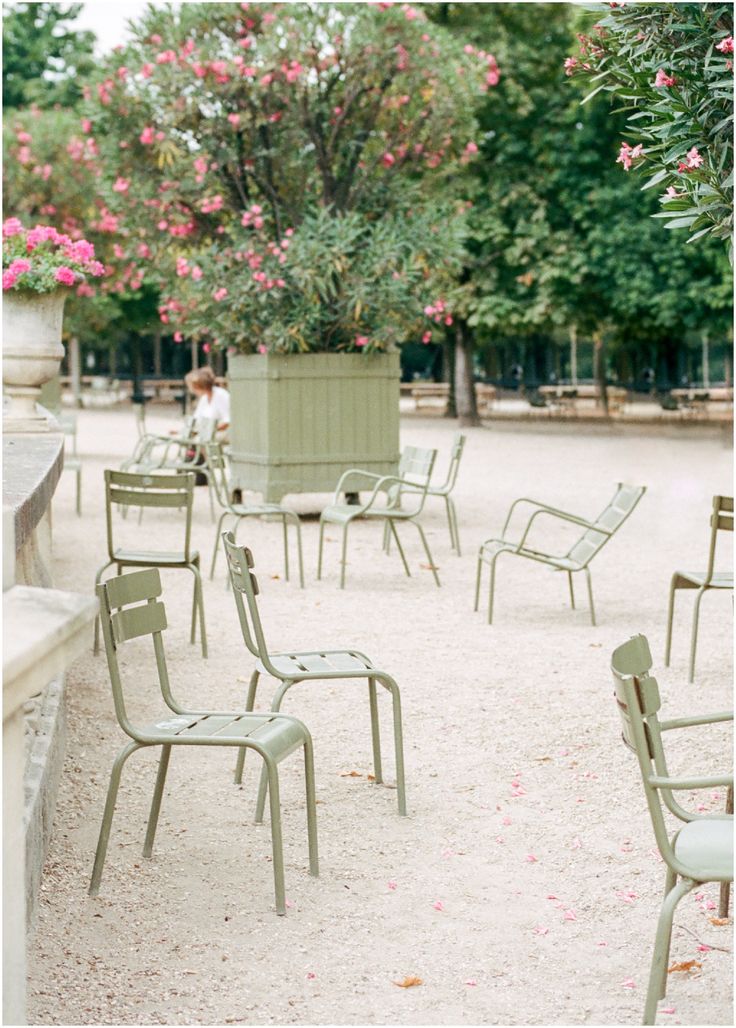 there are many empty chairs in the sand near some trees and bushes with pink flowers