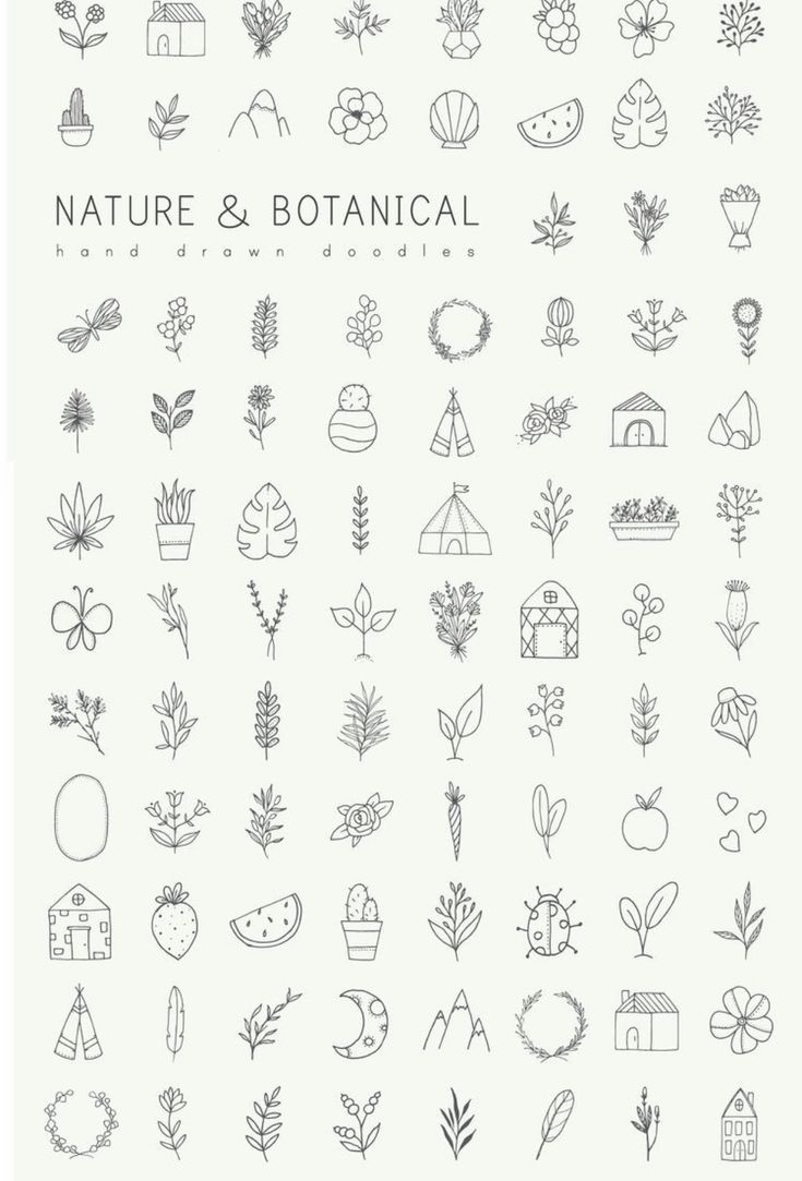 the natural and botanical icons are drawn in black ink on white paper, as well as some