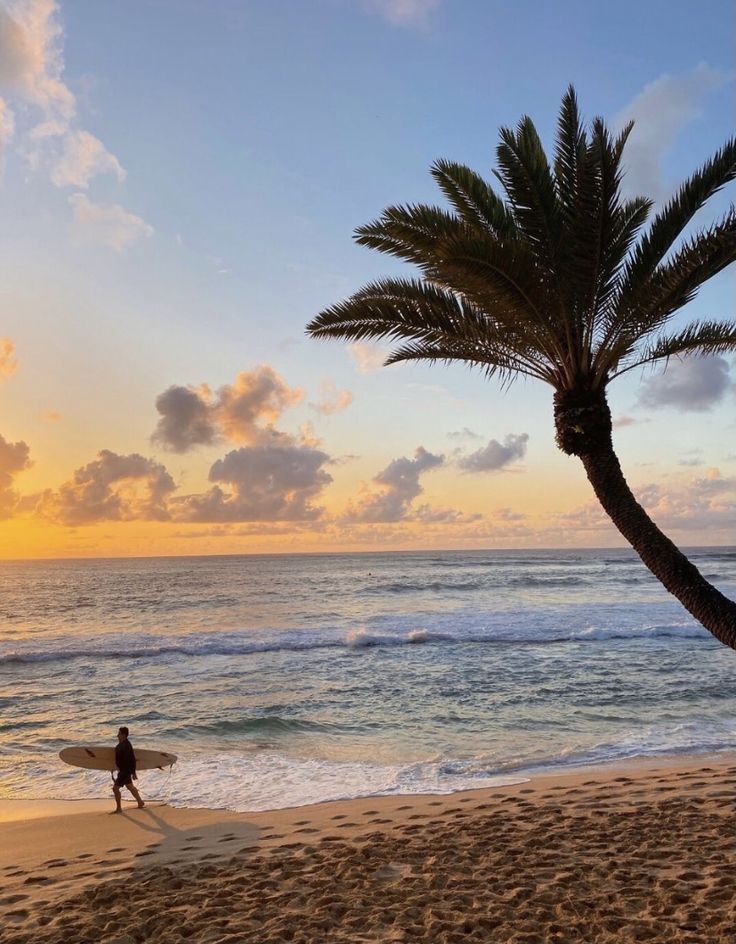 a man carrying a surfboard on top of a sandy beach next to the ocean