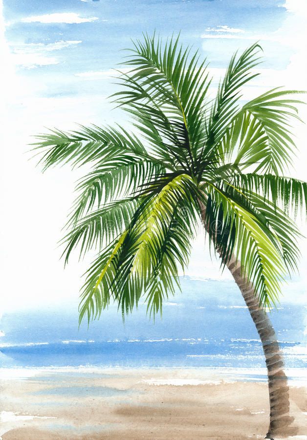 watercolor painting of a palm tree on the beach