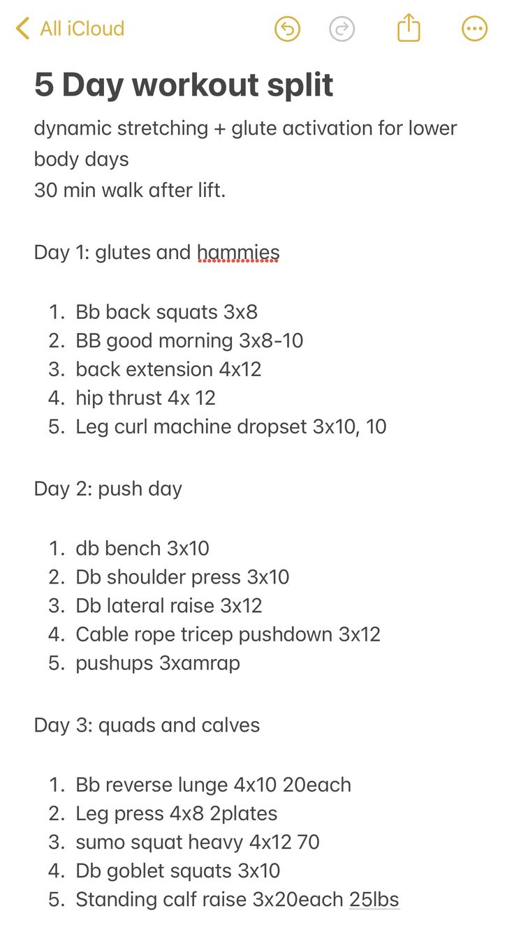 the 5 day workout plan is shown in this screenshot