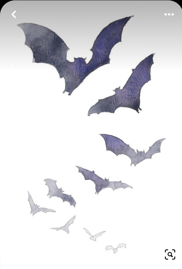 some bats are flying in the air