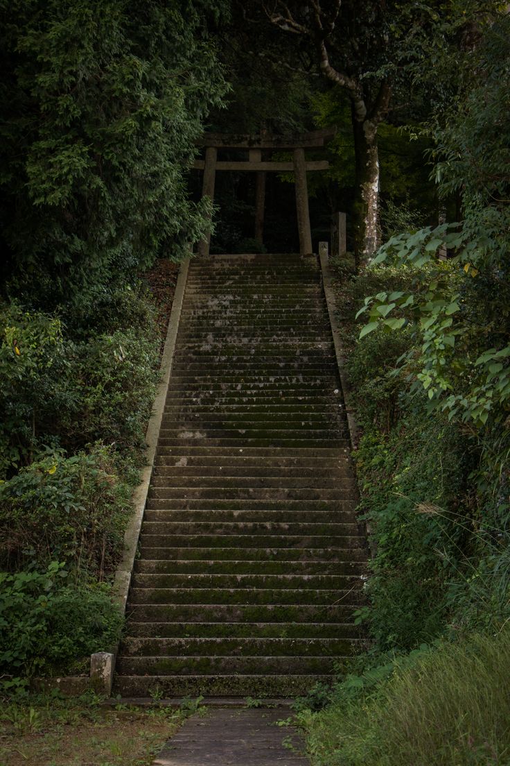 an old set of stairs leading up to the top of a hill surrounded by trees