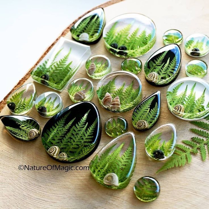 many green plants and leaves in glass cabochons