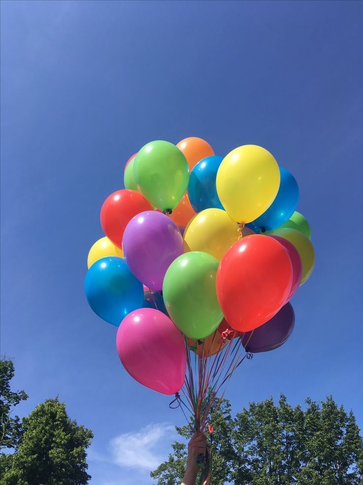 a person is holding many balloons in the air