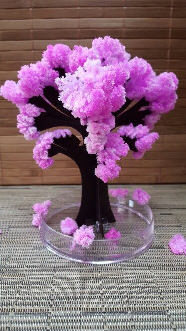 purple flowers in a glass vase on a table