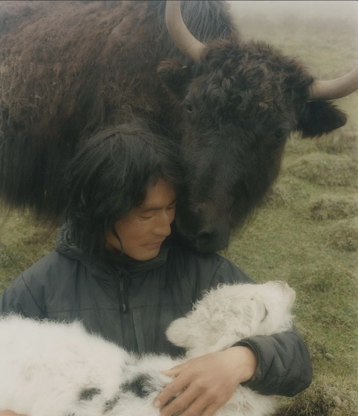 a woman holding a baby sheep in her arms while standing next to an adult bison