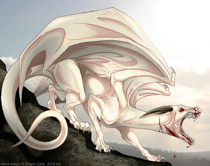 a white dragon with sharp fangs on it's back legs and tail is perched on a rock