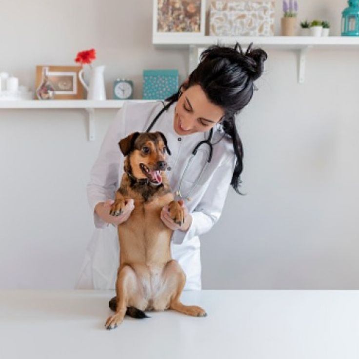 a woman in white lab coat petting a brown and black dog on top of a table